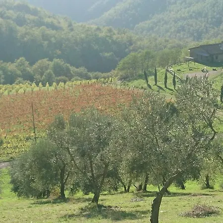 בית חווה Borgo Macereto *