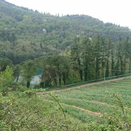 Borgo Macereto בית חווה *