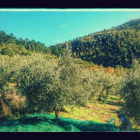 בית חווה Borgo Macereto