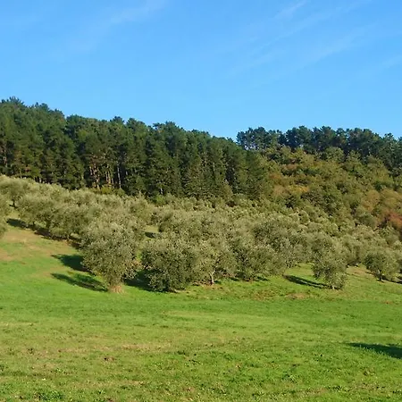 Borgo Macereto בית חווה Dicomano