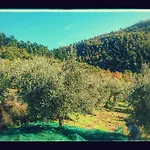 Çiftlik konaklama Borgo Macereto
