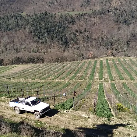 Borgo Macereto