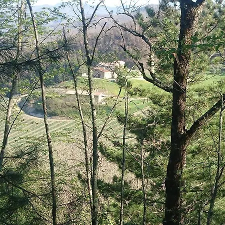 Vakantieboerderij Borgo Macereto