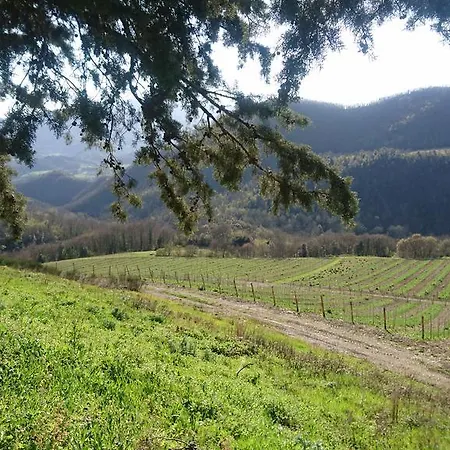 Vakantieboerderij Borgo Macereto *