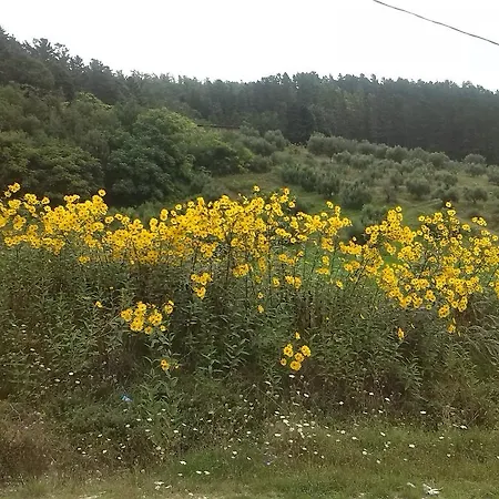 Borgo Macereto Vakantieboerderij