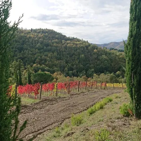 Vakantieboerderij Borgo Macereto