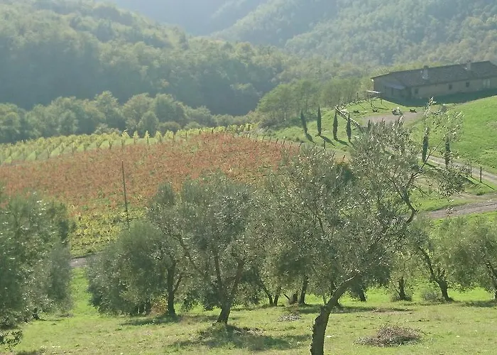 مزرعة للإقامة Borgo Macereto *