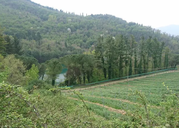 Borgo Macereto مزرعة للإقامة *