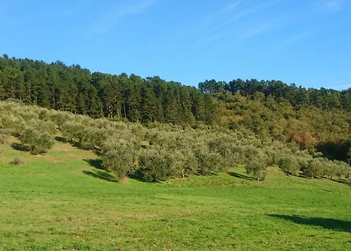 Borgo Macereto Bauernhof Dicomano